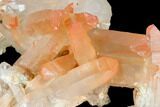 Natural, Red Quartz Crystal Cluster - Morocco #128060-1